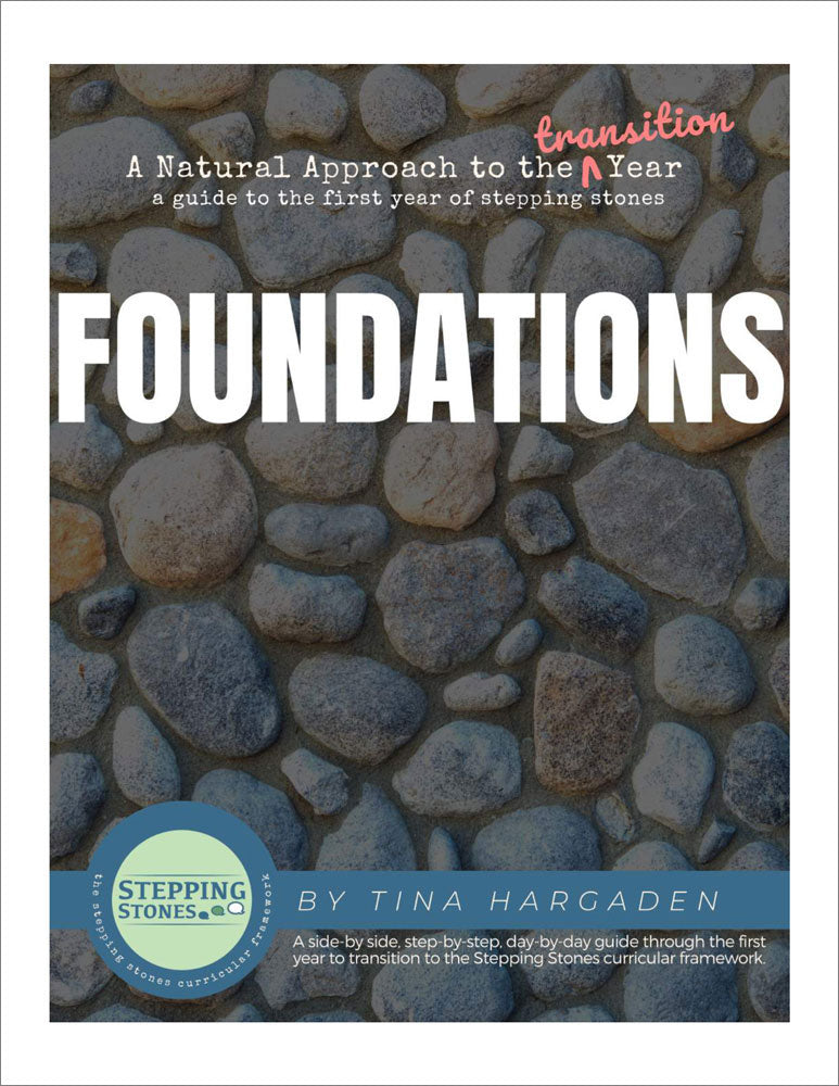 Foundations: A Natural Approach to the Transition Year Book Download